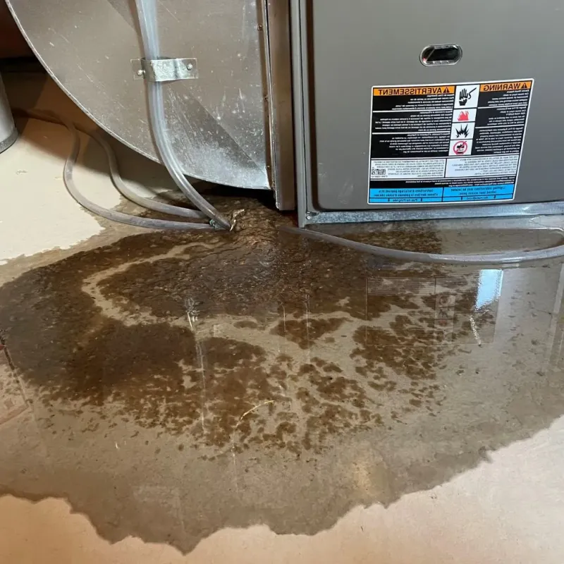 Pipe Burst and Leak Restoration in Columbia, KY