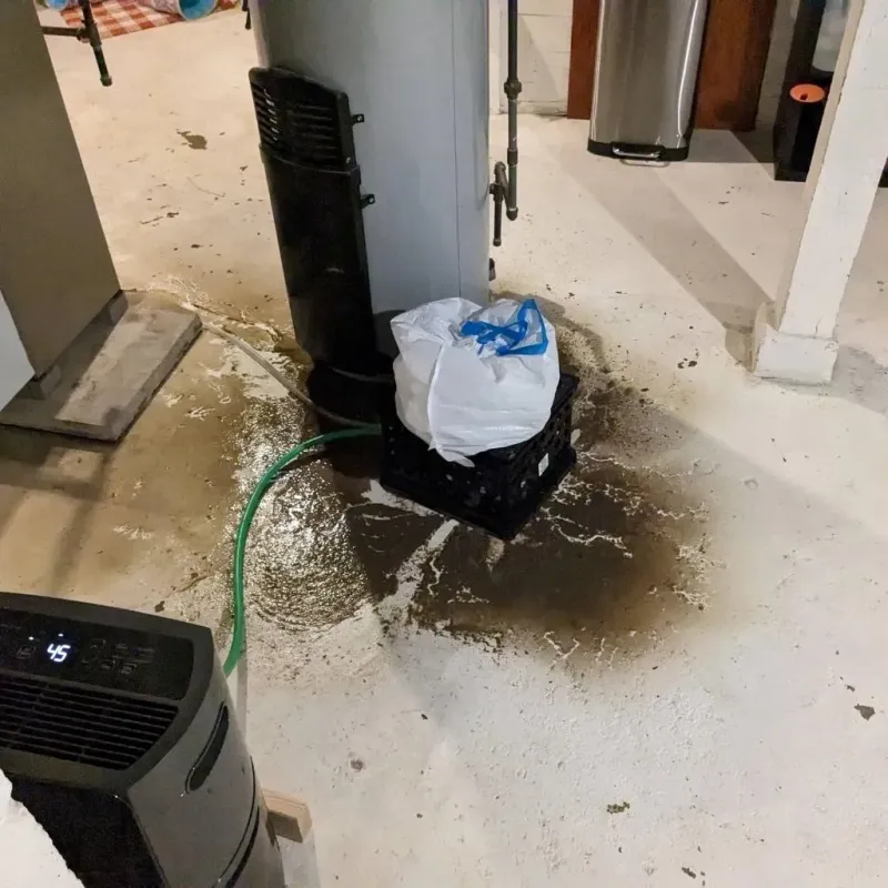 Sewage Backup Cleanup Service in Columbia, KY